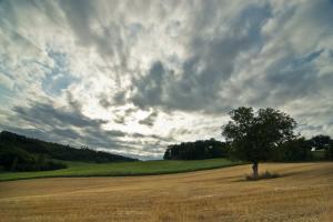 paysage 001 DSC4784