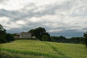 paysage 002 DSC4793