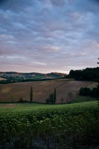 paysage 004 DSC5015