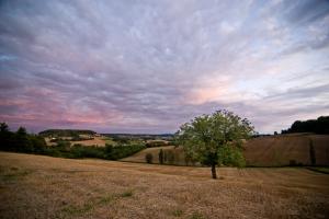 paysage 005 DSC5041