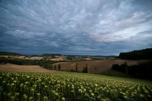 paysage 007 DSC5053